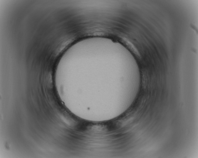 X0000097490251200803142003