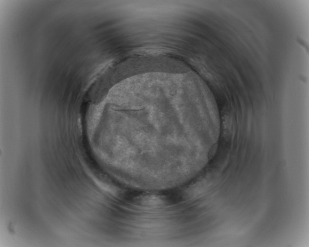 X0000097490254200803142003