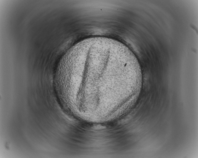 X0000097490257200803142003