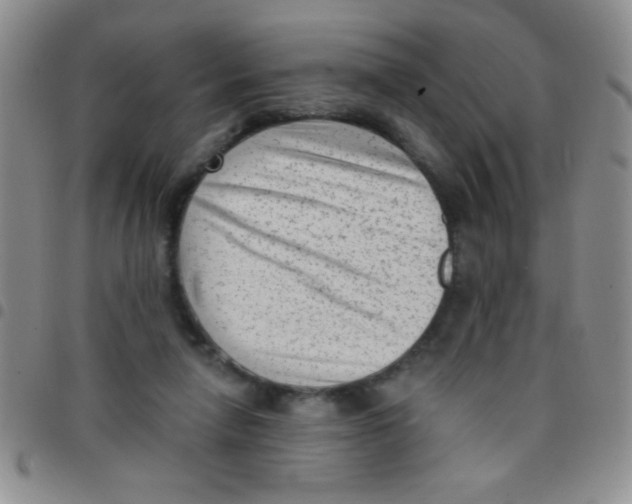 X0000097490258200803142003