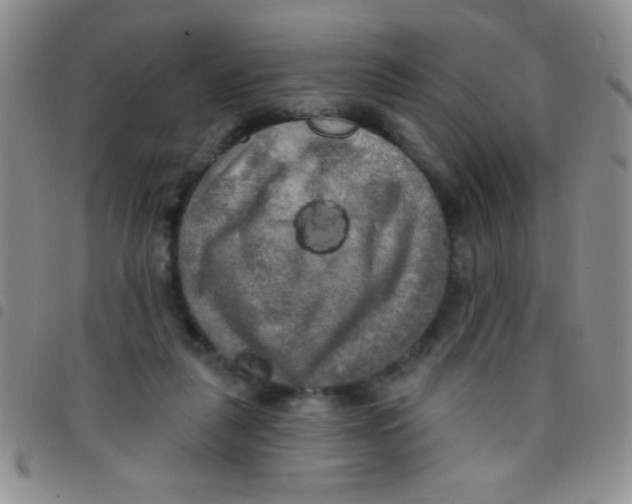 X0000097490259200803142003