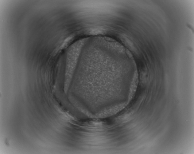 X0000097490260200803142003