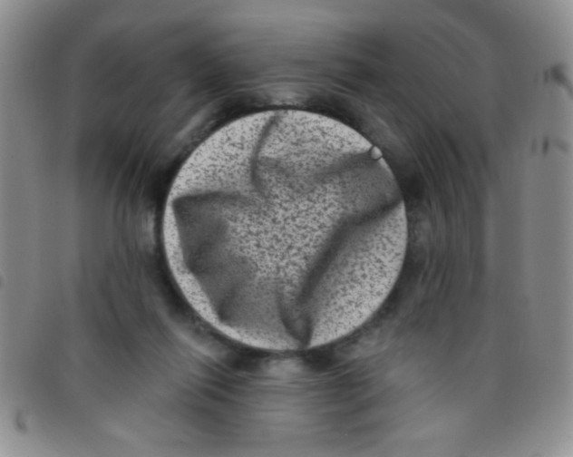 X0000097490262200803142003