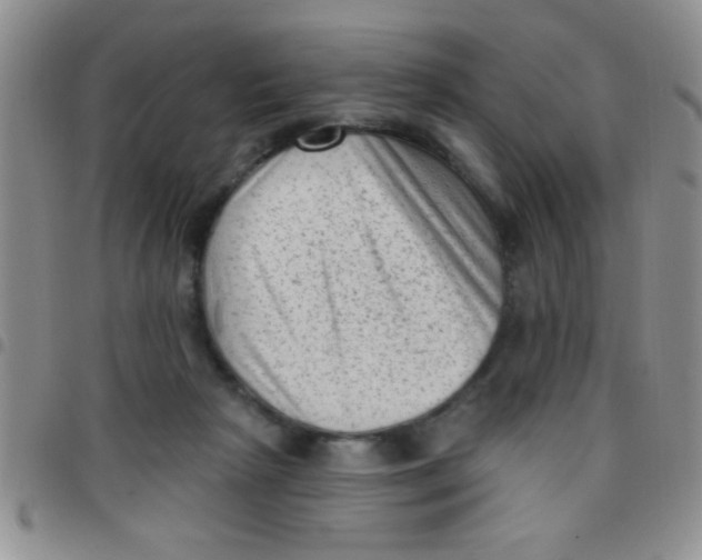 X0000097490265200803142004