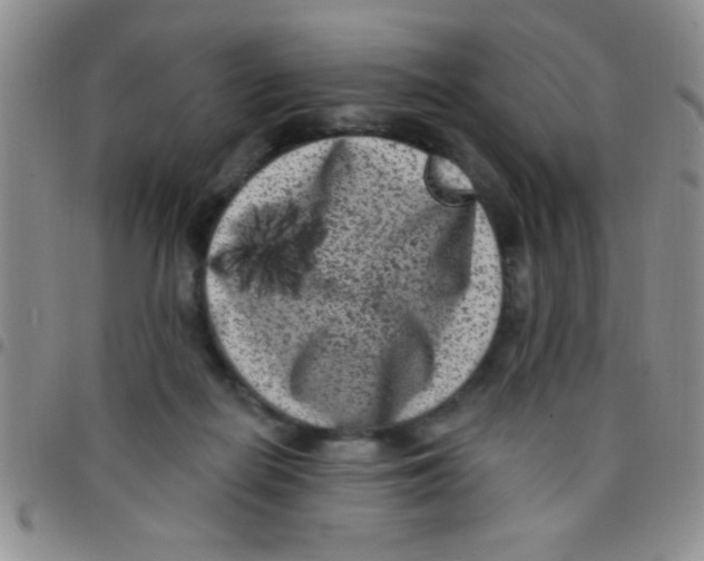 X0000097490266200803142004