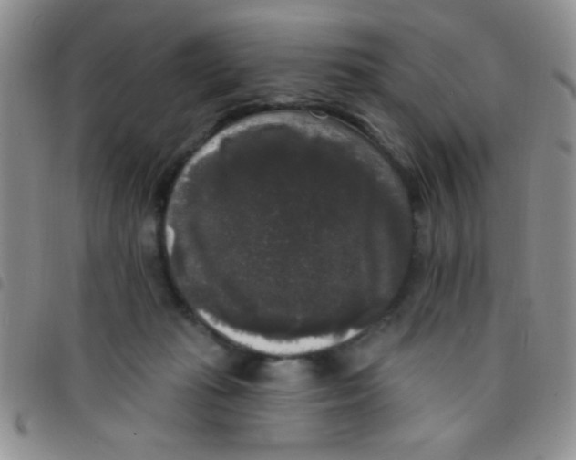 X0000097490269200803142004