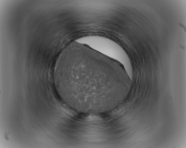 X0000097490270200803142004