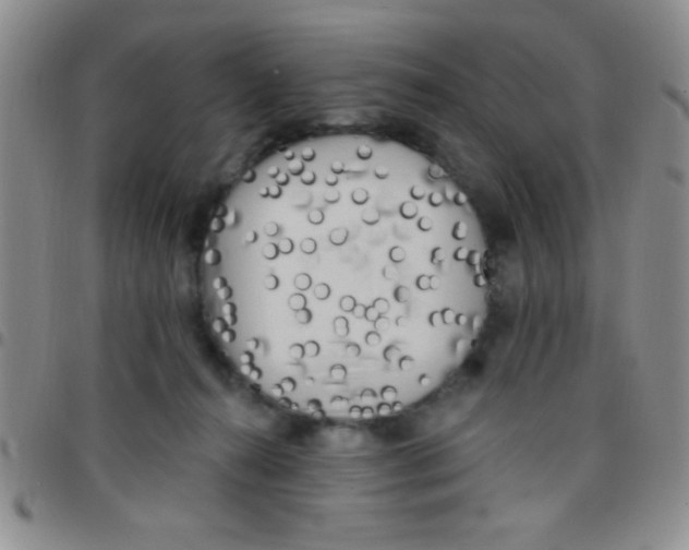 X0000097490272200803142004