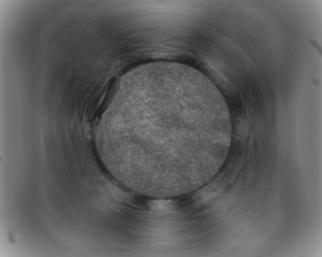 X0000097490273200803142004