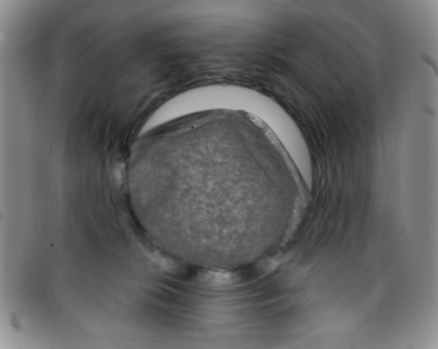 X0000097490276200803142004