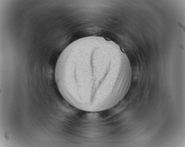 X0000097490279200803142004