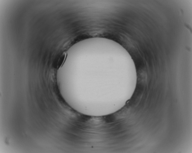 X0000097490280200803142004