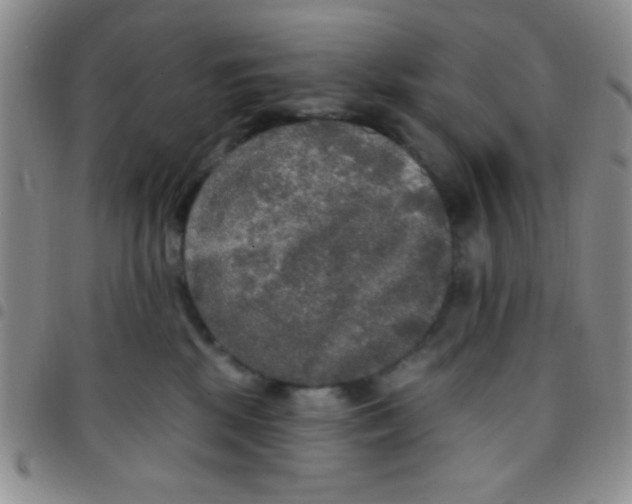 X0000097490281200803142004