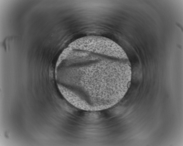 X0000097490282200803142004