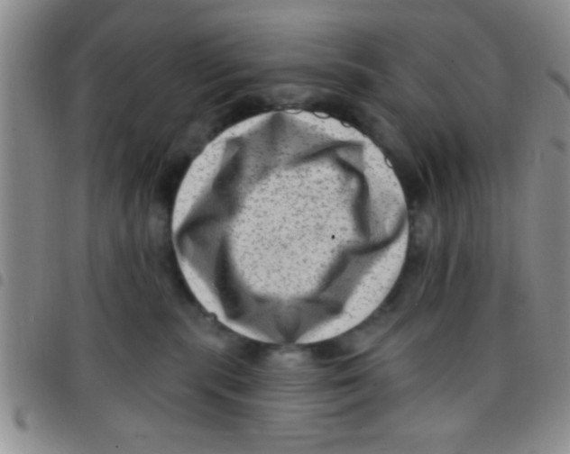 X0000097490283200803142004