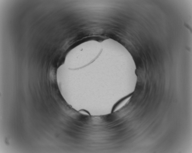 X0000097490287200803142004