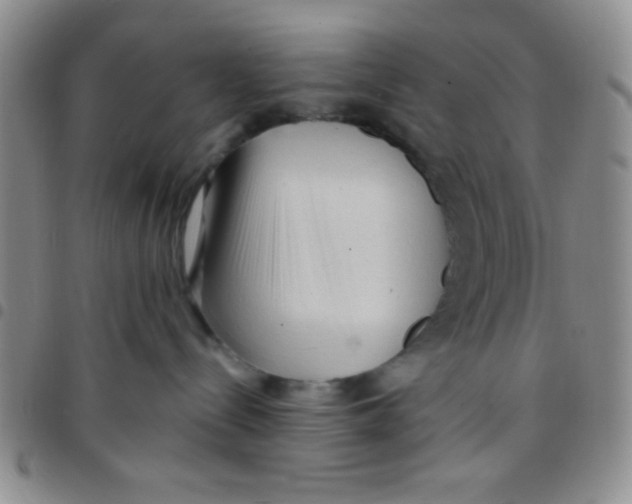 X0000097490288200803142004