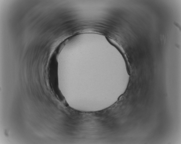 X0000097490289200803142003