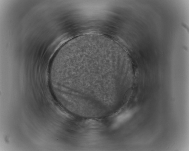 X0000097490290200803142003