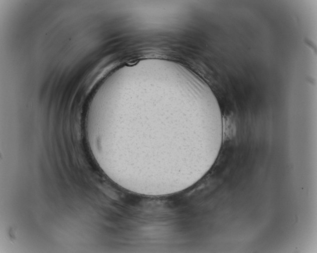 X0000097490291200803142003