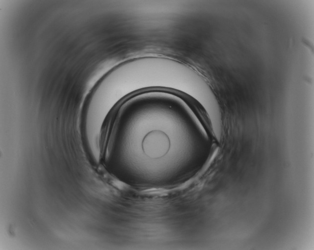 X0000097490292200803142003