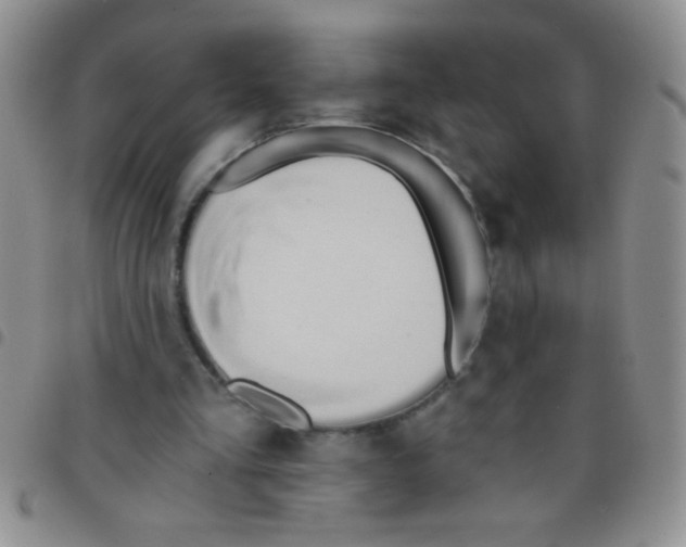 X0000097490293200803142003