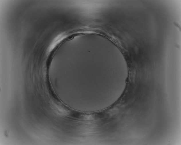 X0000097490295200803142003