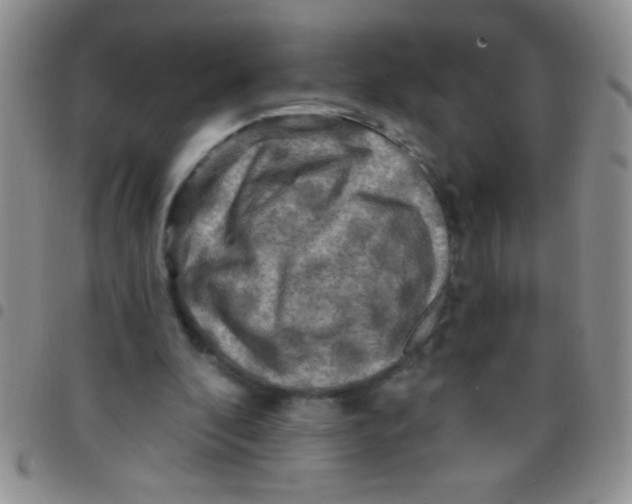 X0000097490296200803142003