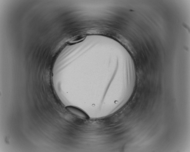 X0000097490297200803142003