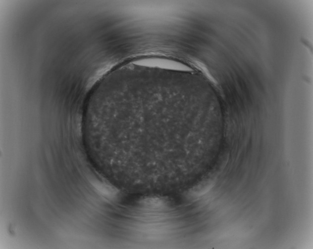 X0000097490299200803142003