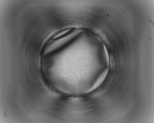 X0000097490300200803142003