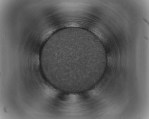 X0000097490302200803142003