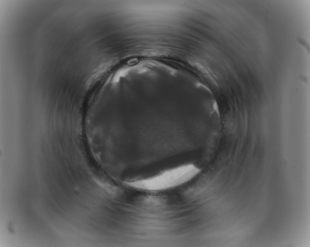 X0000097490303200803142003