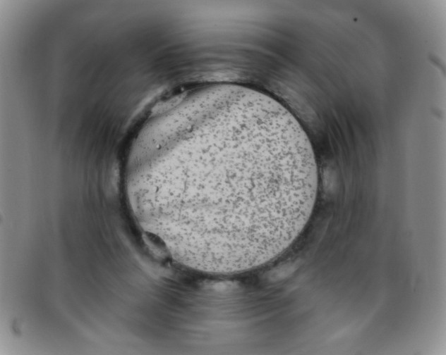 X0000097490304200803142003