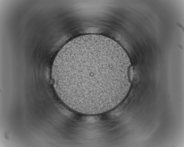 X0000097490305200803142003