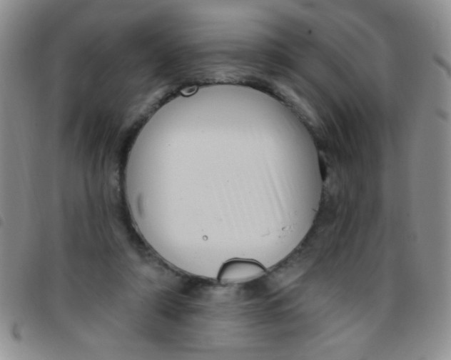 X0000097490306200803142003