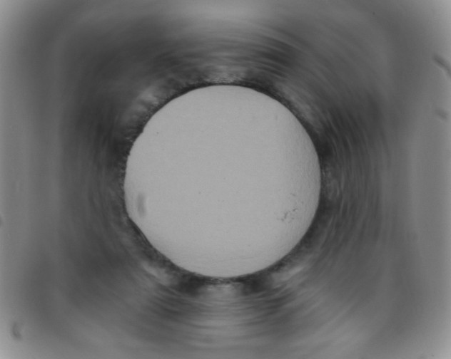 X0000097490307200803142003