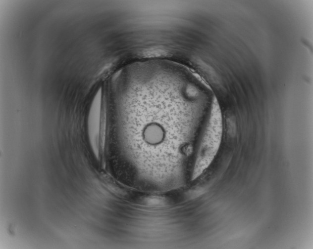 X0000097490308200803142003