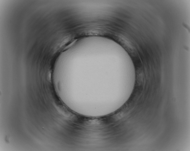 X0000097490310200803142003