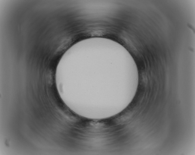 X0000097490311200803142003