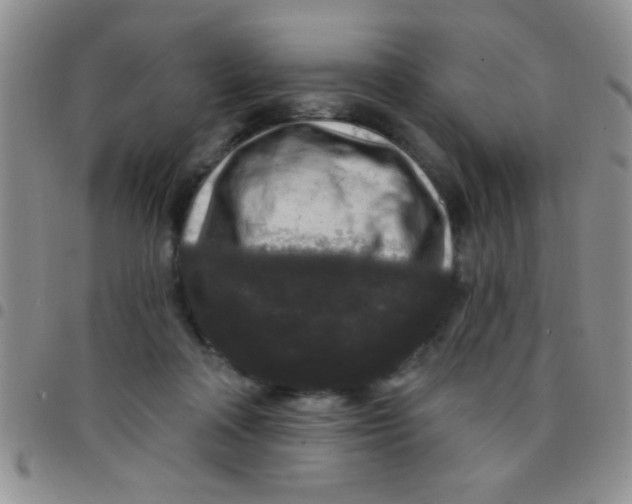 X0000097490314200803142003