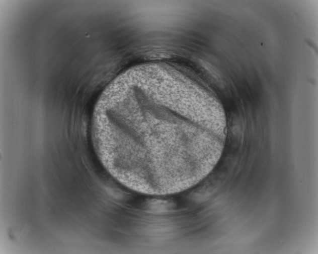 X0000097490315200803142003