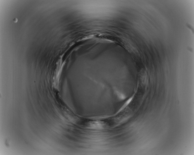 X0000097490316200803142003