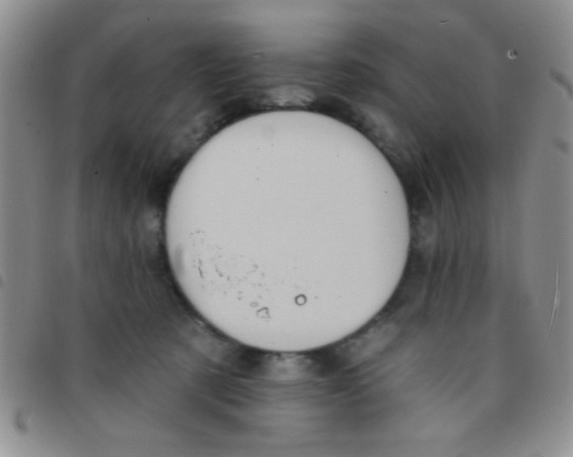 X0000097490321200803142003