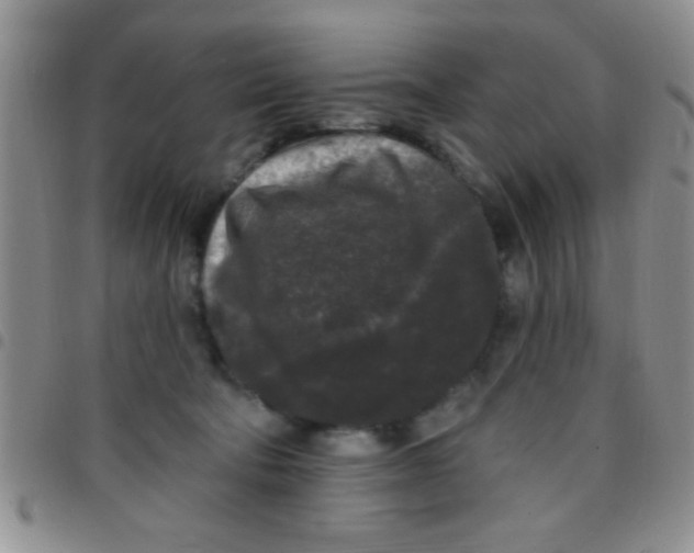 X0000097490322200803142003