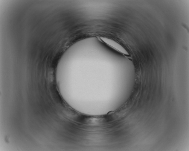 X0000097490323200803142003