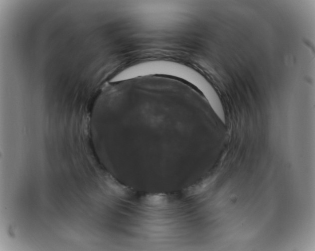 X0000097490325200803142003