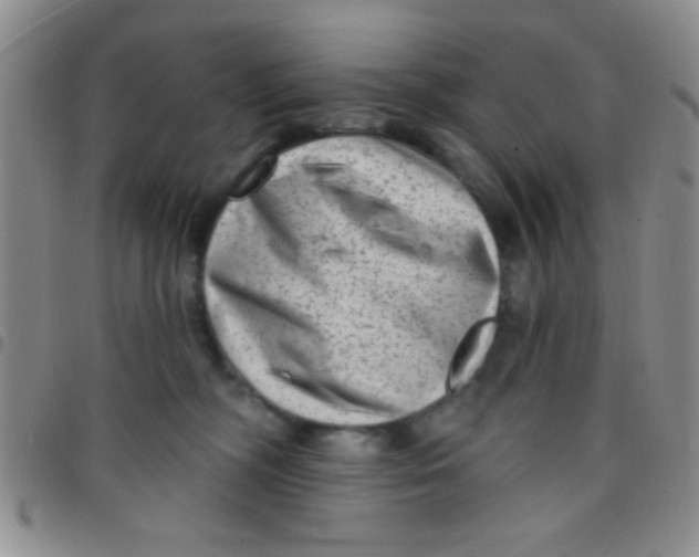 X0000097490326200803142003