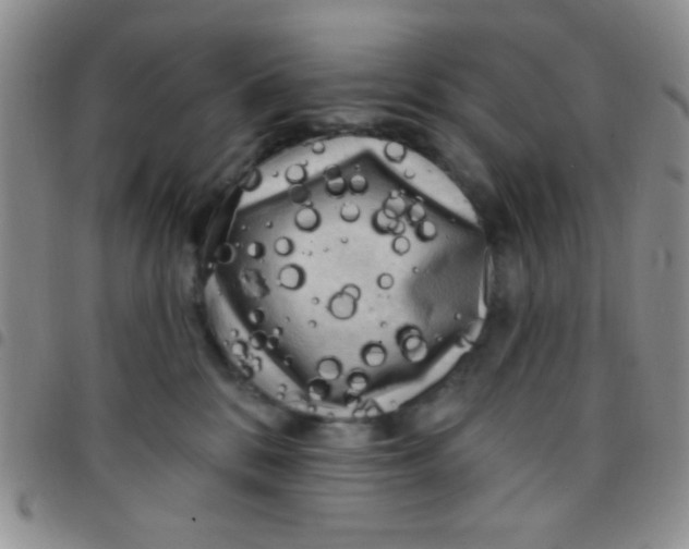 X0000097490328200803142003