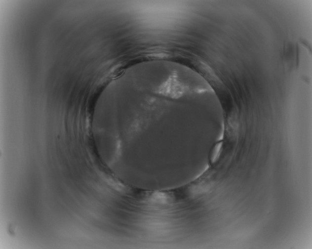 X0000097490330200803142003